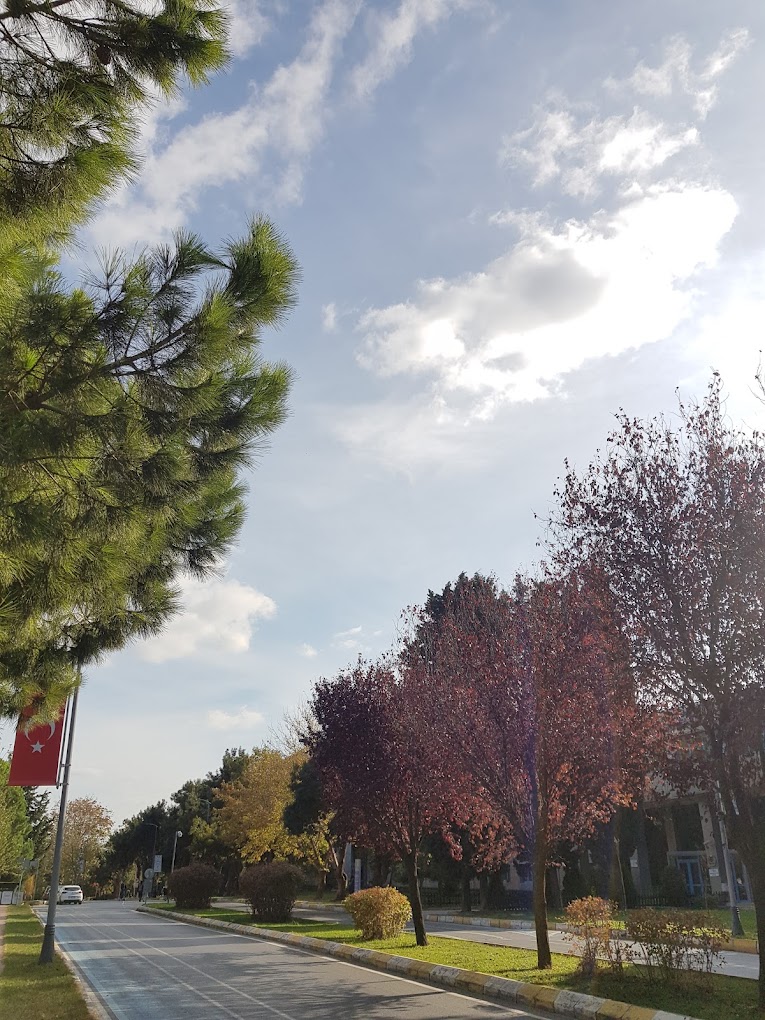 yildiz teknik universitesi find and study 3 - Yıldız Teknik Üniversitesi