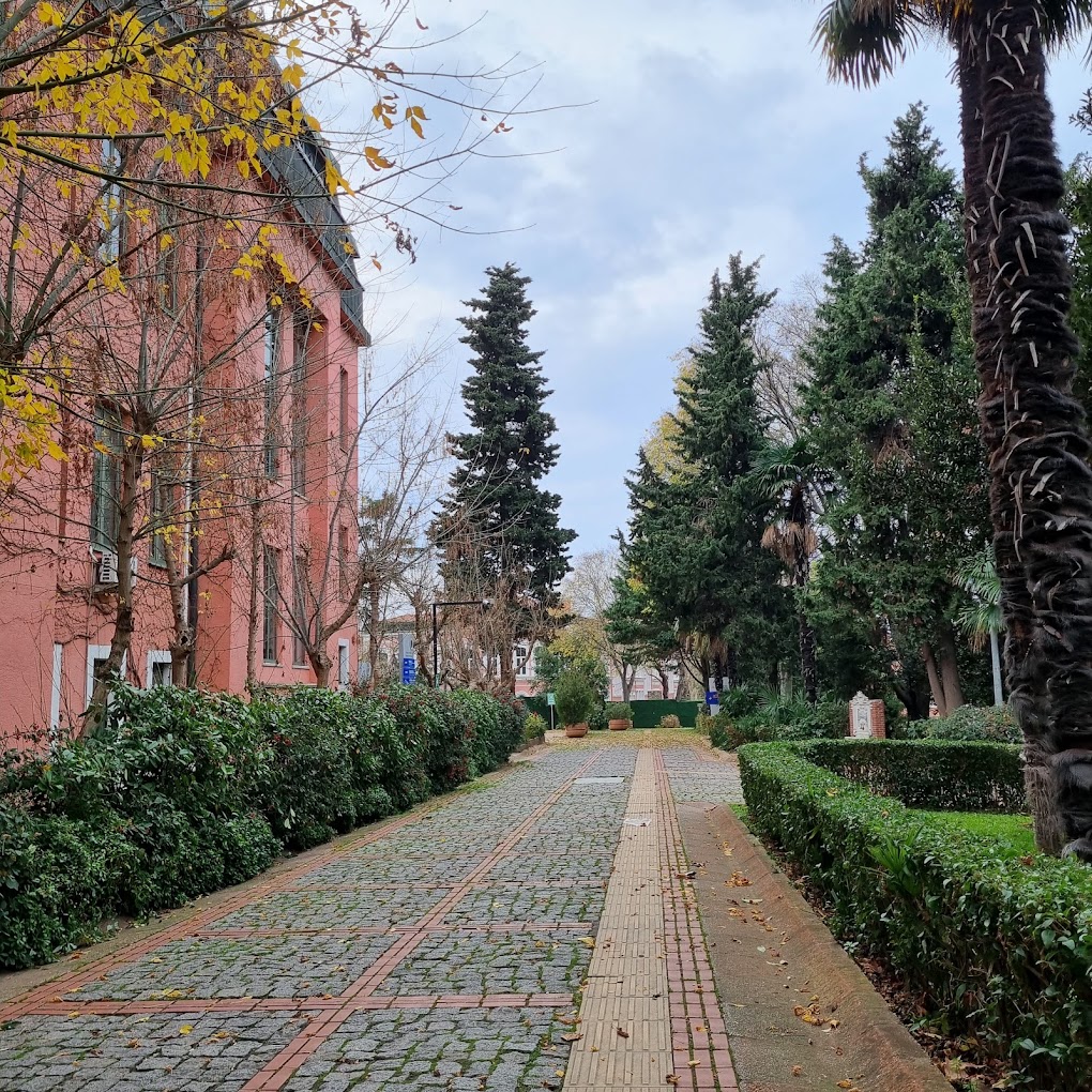 yildiz teknik universitesi find and study 6 1 - Yıldız Teknik Üniversitesi