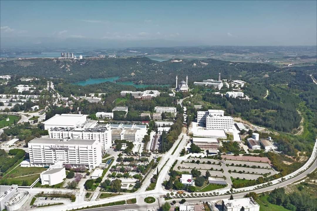 cukurova universitesi find and study 4 1 - Çukurova Universiteti