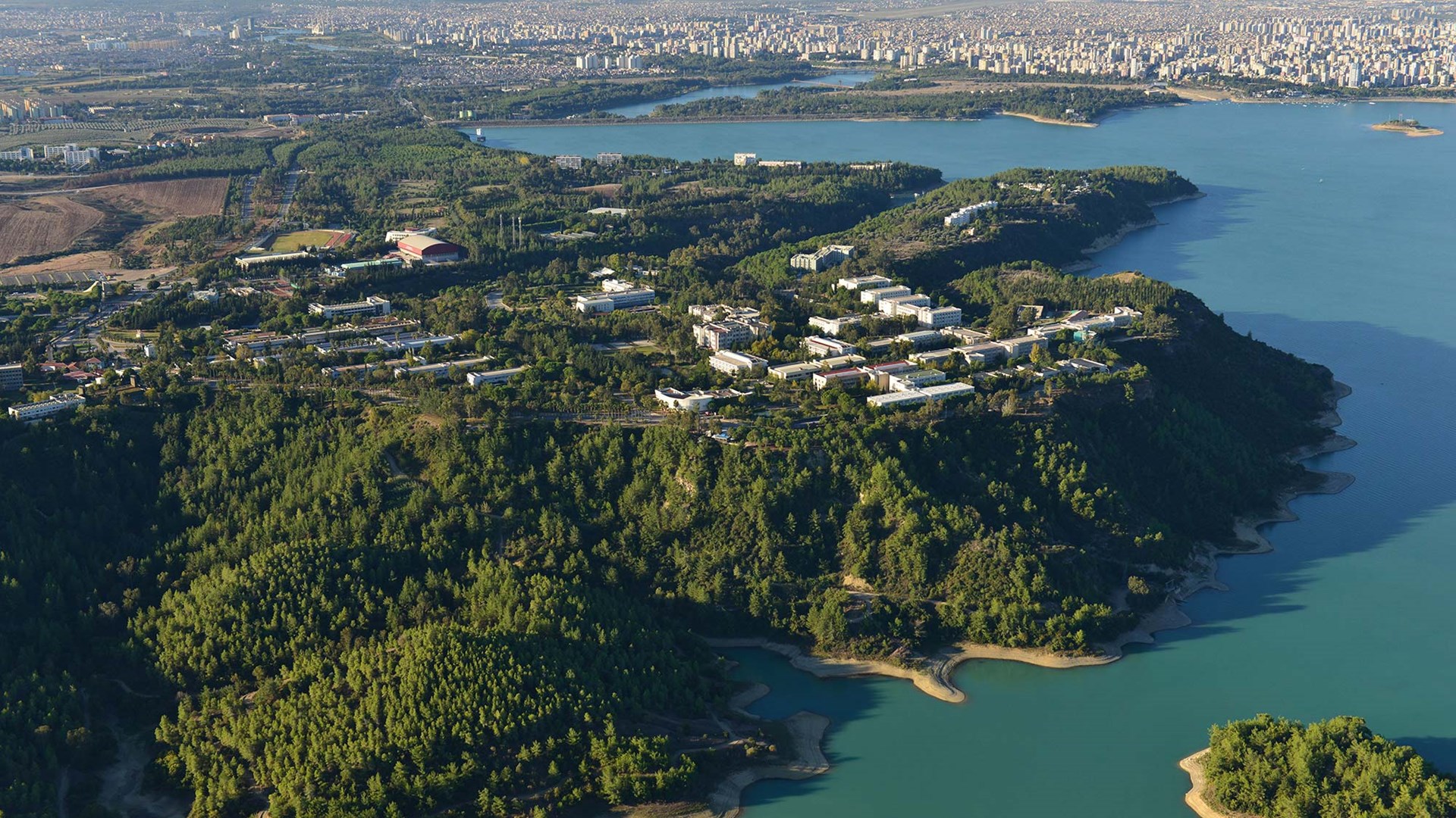 cukurova universitesi find and study 5 - Университет Чукурова