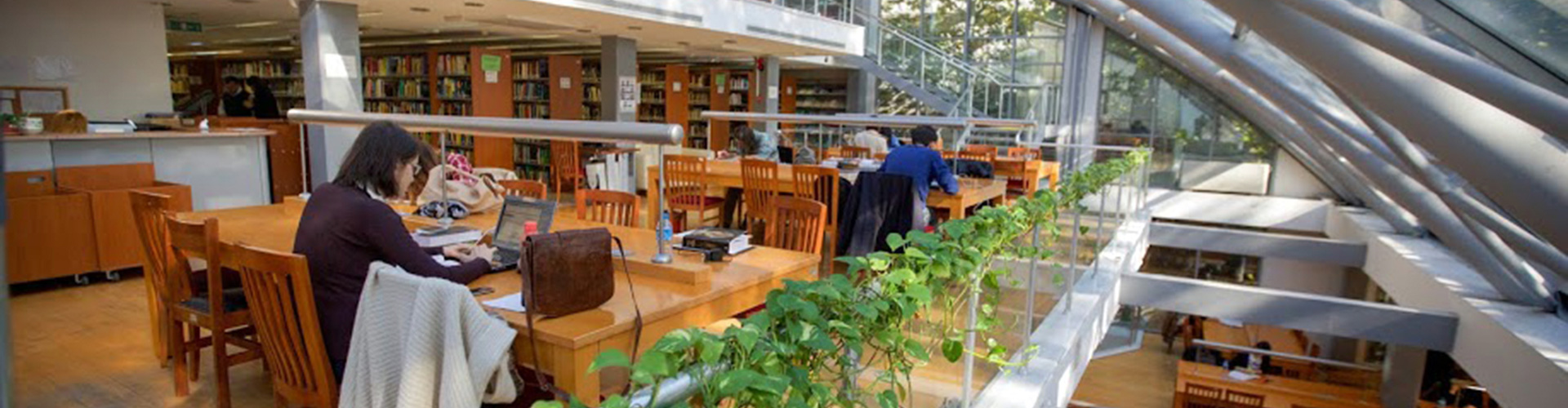 gsu universitesi find and study 9 7 - Galatasaray Üniversitesi