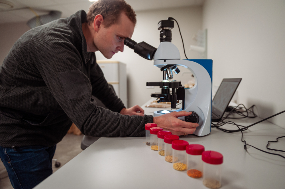Latvia University of Life Sciences and Technologies Find and Study 7 - Латвийский университет наук о жизни и технологий