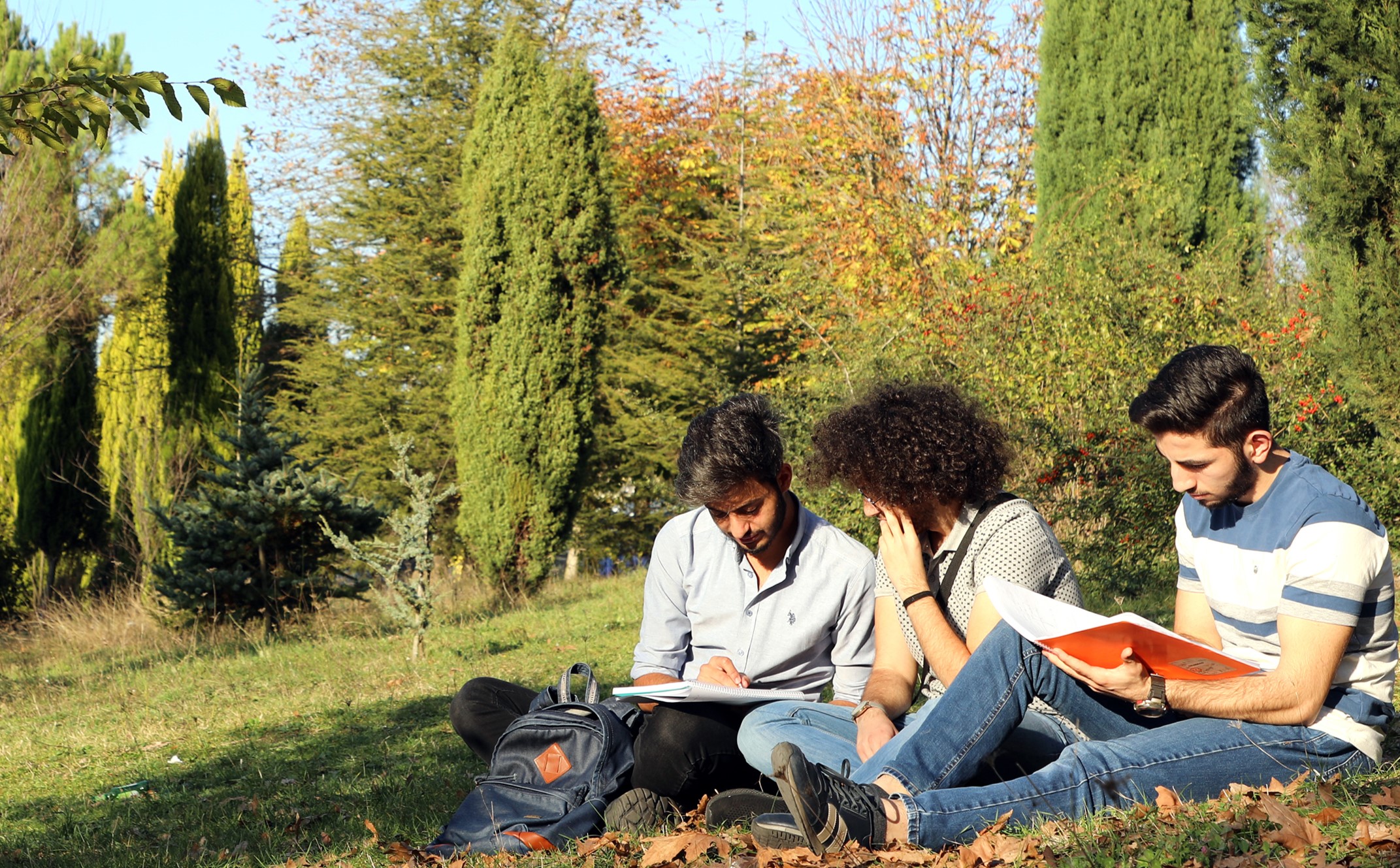 bartin universitesi find and study 5c - دانشگاه بارتین